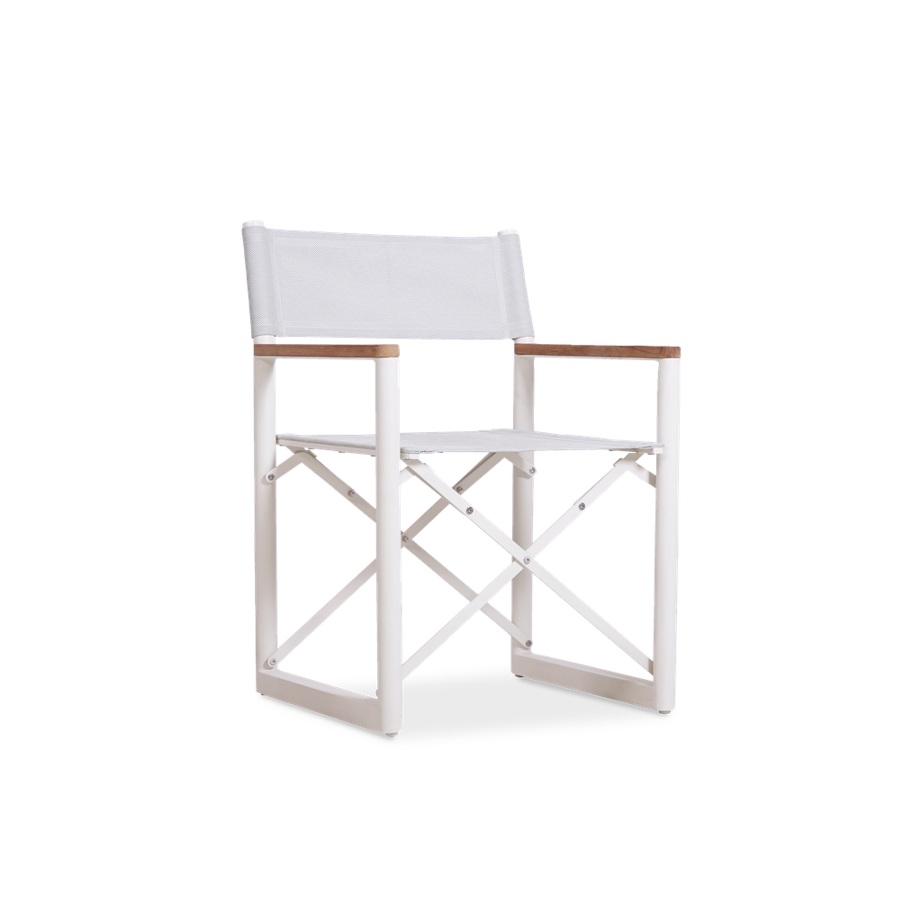 Aleta Director Chair~~