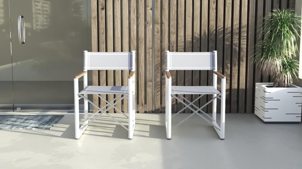 Aleta Director Chair - Ambiance Image~~