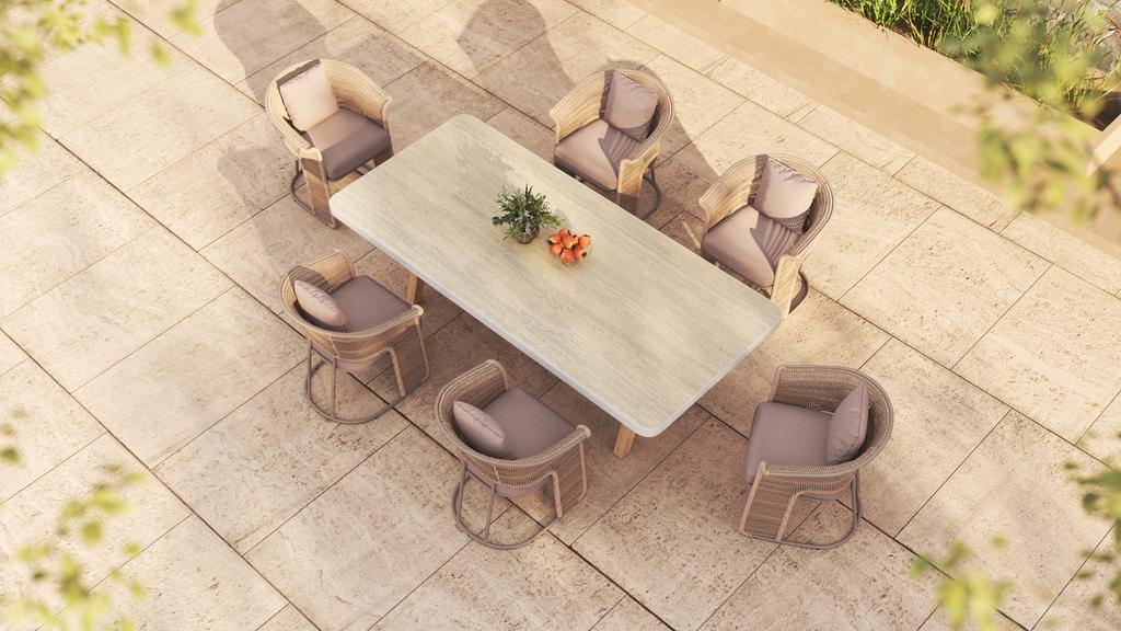Dune Dining Armchair - Ambiance Image~~
