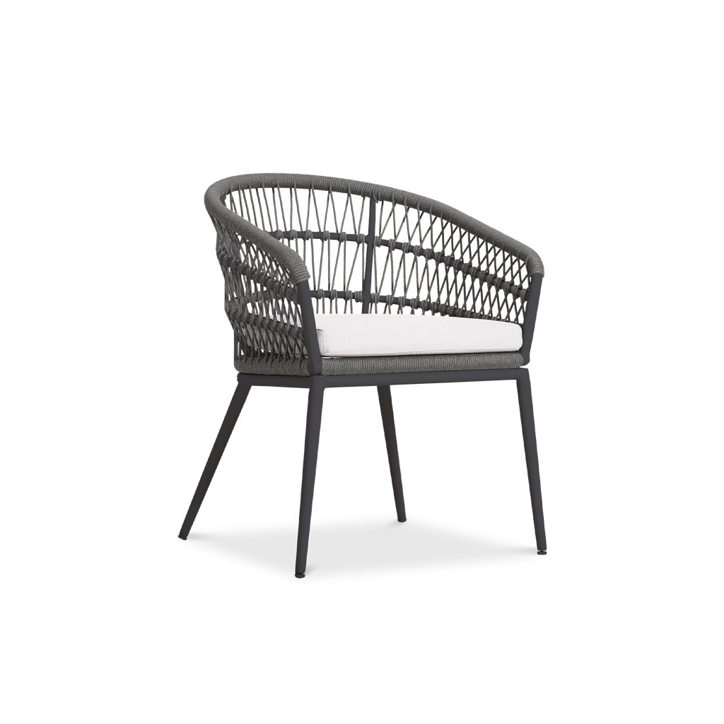 Vino Dining Chair~~
